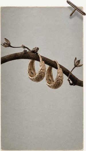 Hoop earrings hung from a branch