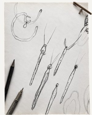 Pencil studies of bench tools